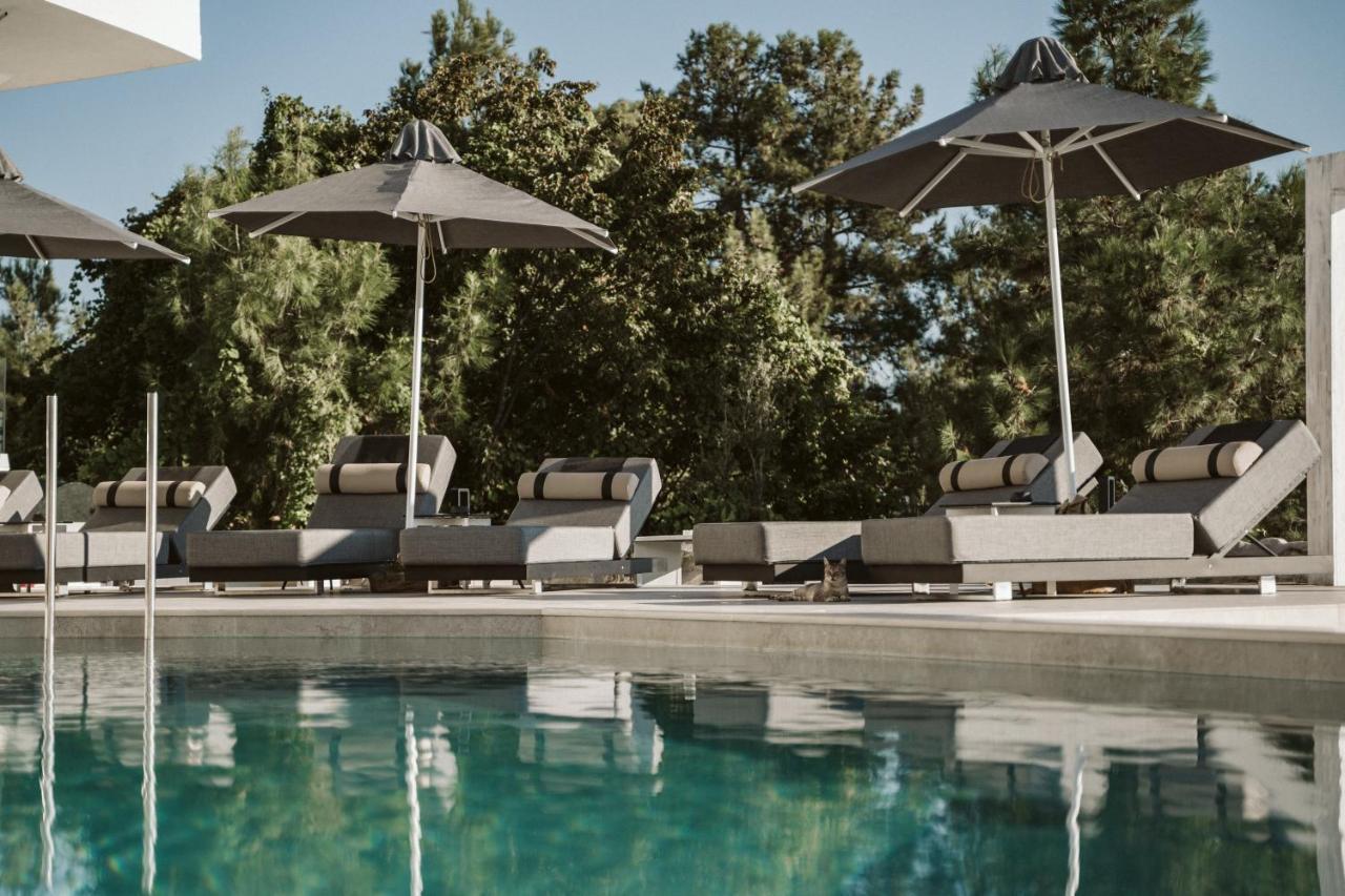 Akrotiri Olympus Luxury Suites - Adults Only Plaka Litochoro Dış mekan fotoğraf